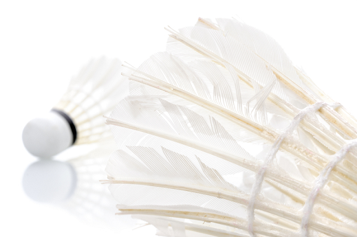 photo of partial feather shuttle